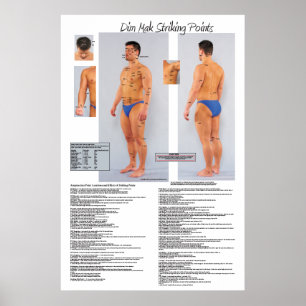 Dim Mak Dödsstrejkställen Poster 24 x 36