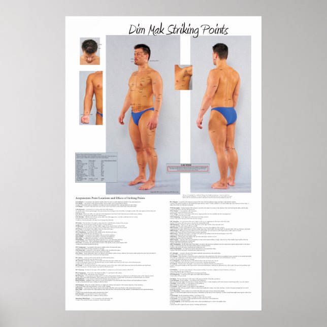 Dim Mak Dödsstrejkställen Poster 24 x 36 (Framsidan)