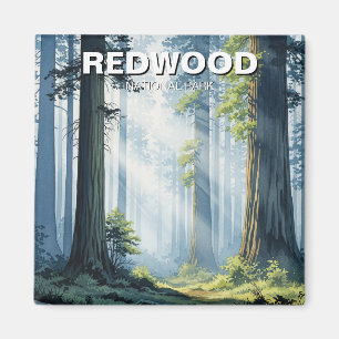 Dim morgon i Redwood National Park Magnet