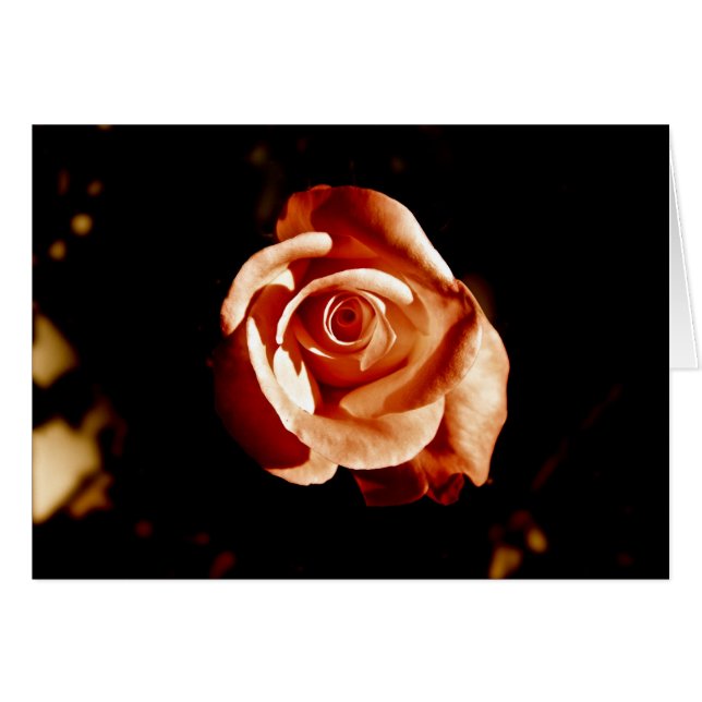 Dim Rosa ros Hälsningskort (Framsidan Horizontal)