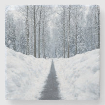 Dim vinter skog stig Vinterlandskap