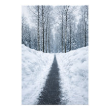 Dim vinter skogsväg Vinter landskapsaffisch