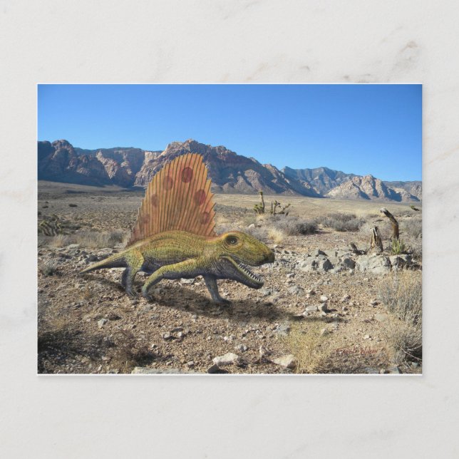 Dimetrodon Dinosaur Vykort (Framsida)