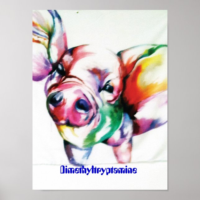 Dimetyltryptamin Poster (Framsidan)