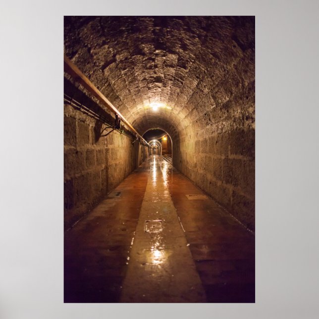 Dimly Lit Salt Mine Tunnel Poster (Framsidan)