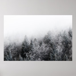 Dimm över frusen skog poster