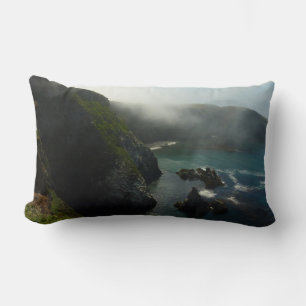 Dimma Anacapa Island vid Channel Islands Lumbarkudde