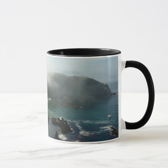 Dimma Anacapa Island vid Channel Islands Mugg (Höger)