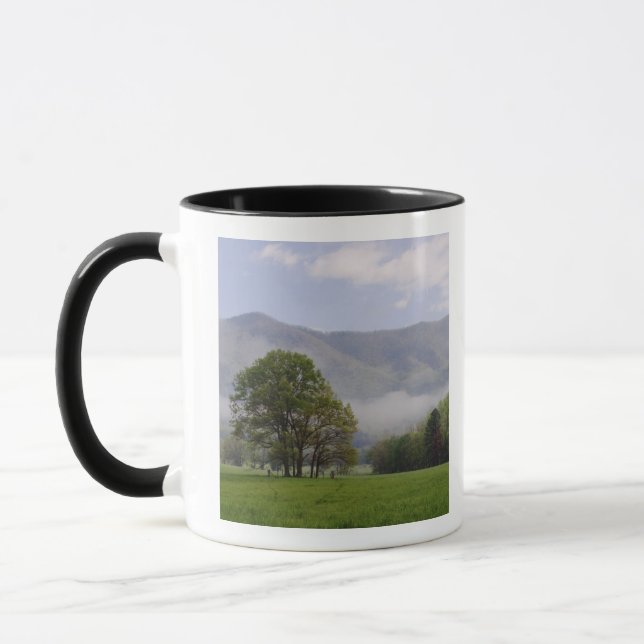 Dimma äng och Rich Mountain, Cades Cove, Mugg (Vänster)