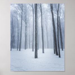 Dimma frusen vinter skog poster