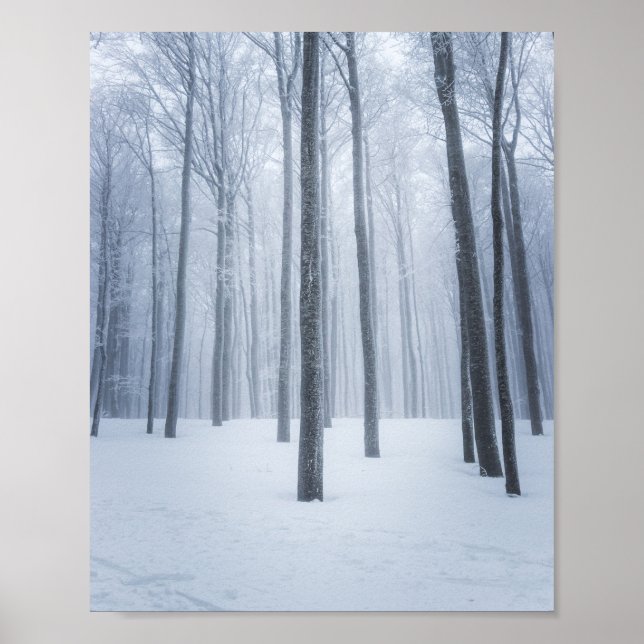 Dimma frusen vinter skog poster (Framsidan)