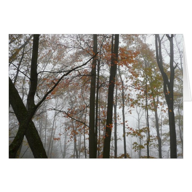 Dimma Höst i Pennsylvania Höst Natur Hälsningskort (Framsidan Horizontal)
