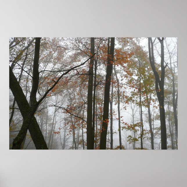 Dimma Höst i Pennsylvania Höst Natur Poster (Framsidan)