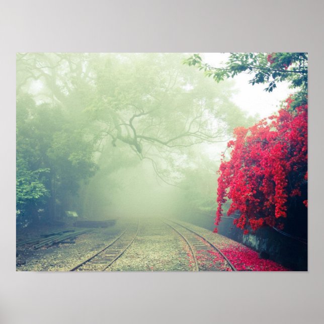 Dimma järnvägsspår Scenisk foto Poster (Framsidan)
