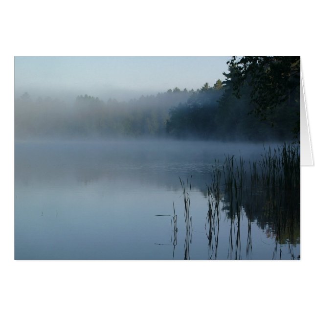 dimma med björn tass hälsningskort (Framsidan Horizontal)