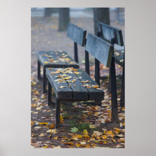 Dimma morgon parkbänk, Tyskland Poster