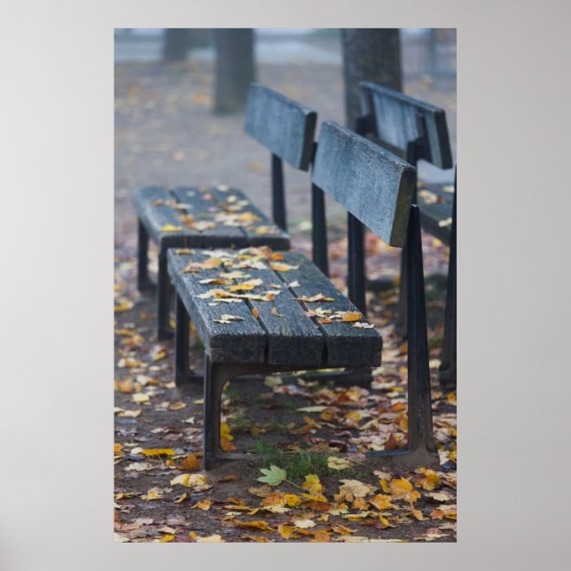 Dimma morgon parkbänk, Tyskland Poster (Framsidan)