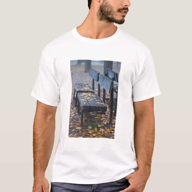 Dimma morgon parkbänk, Tyskland Tee (Framsida)