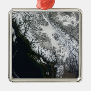 Dimma och insnöade British Columbia Julgransprydnad Metall