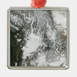 Dimma och insnöat den Stillahavs- northwesten Julgransprydnad Metall