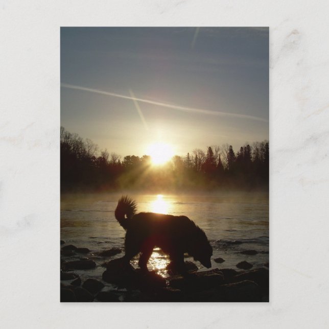 Dimma över Mississippifloden Vykort (Framsida)