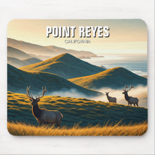 Dimma Point Reyes National Seashore Elk Musmatta