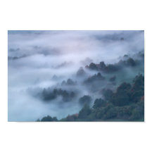 dimma som rullar genom träd