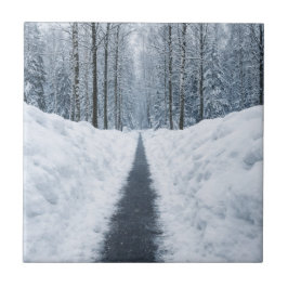 Dimma Vinter Skog Stig Vinter Landskap Kakelplatta