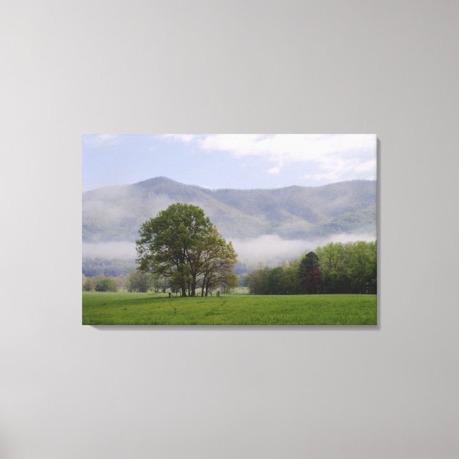 Dimmig äng och Rich Mountain, Cades Cove, Canvastryck (Framsida)
