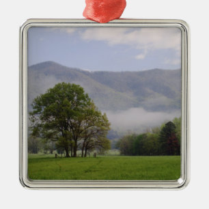Dimmig äng och Rich Mountain, Cades Cove, Julgransprydnad Metall