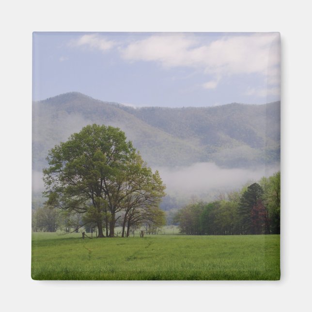 Dimmig äng och Rich Mountain, Cades Cove, Magnet (Framsidan)