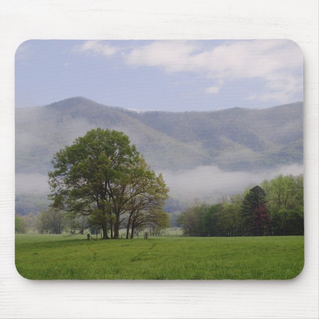 Dimmig äng och Rich Mountain, Cades Cove, Musmatta (Framsidan)