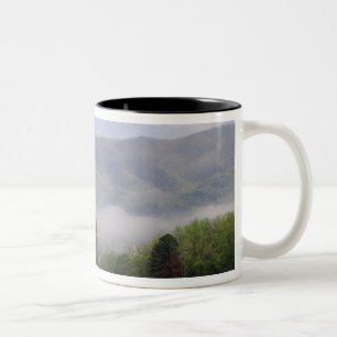 Dimmig äng och Rich Mountain, Cades Cove, Två-Tonad Mugg