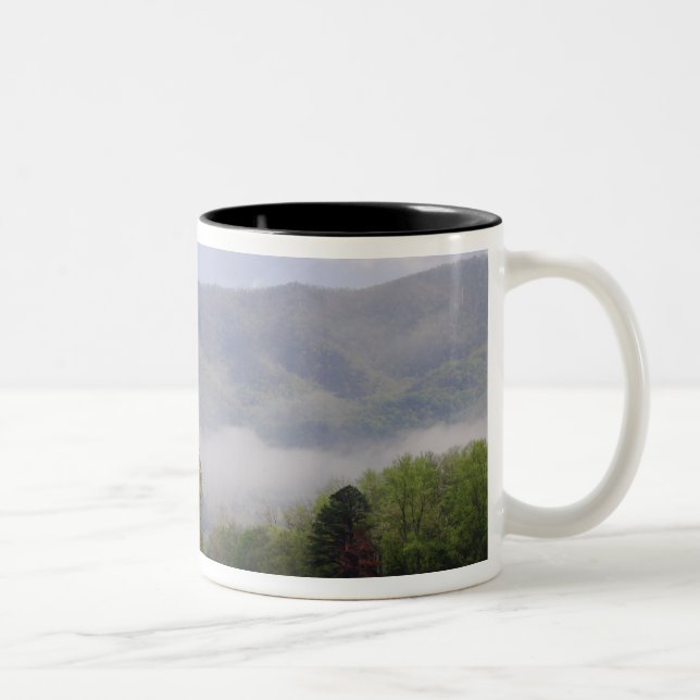 Dimmig äng och Rich Mountain, Cades Cove, Två-Tonad Mugg (Höger)