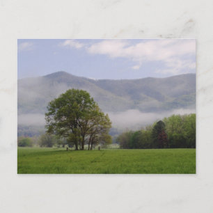 Dimmig äng och Rich Mountain, Cades Cove, Vykort
