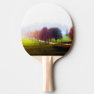 Dimmig äng på hösten pingisracket