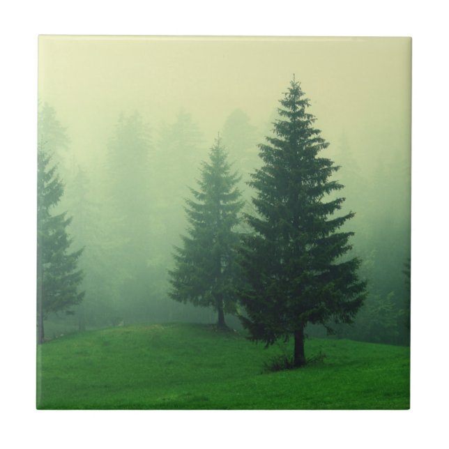Dimmig grässkog kakelplatta (Framsidan)