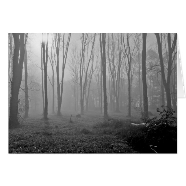 Dimmig morgon hälsningskort (Framsidan Horizontal)