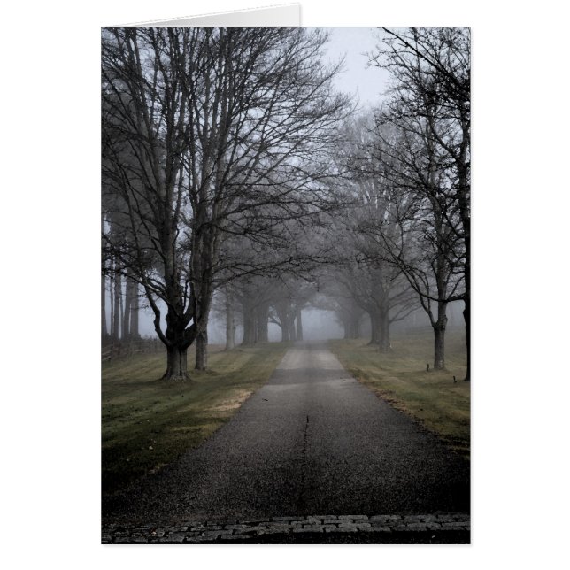 Dimmig morgon i Maine Hälsningskort (Framsidan)