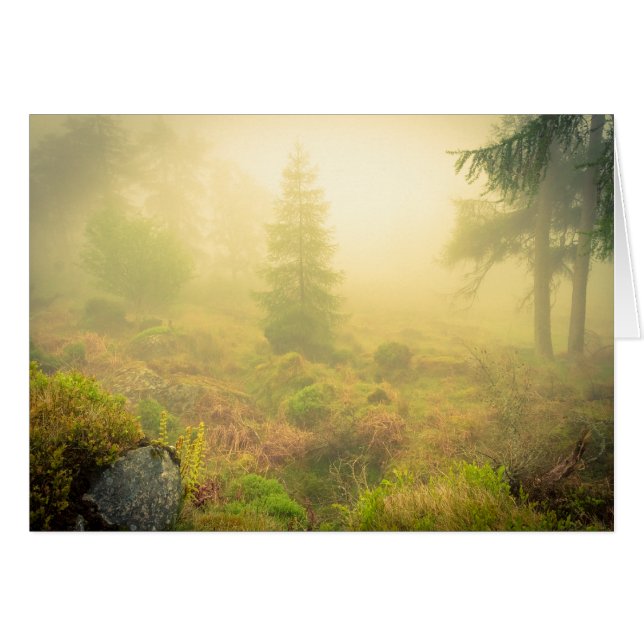 Dimmig morgon i Wicklow berg Hälsningskort (Framsidan Horizontal)