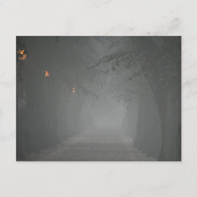 Dimmig morgon vykort (Framsida)