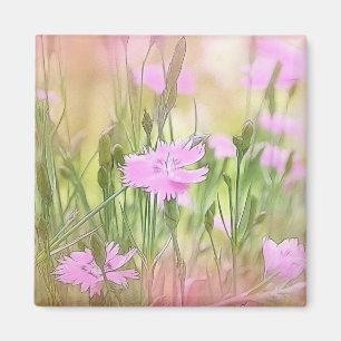Dimmig morgonDianthus Magnet