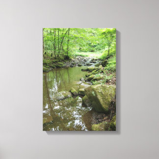 Dimmig Skog Canvas Väggkonst | Lugn Natur