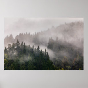 Dimmig skog i bergen poster