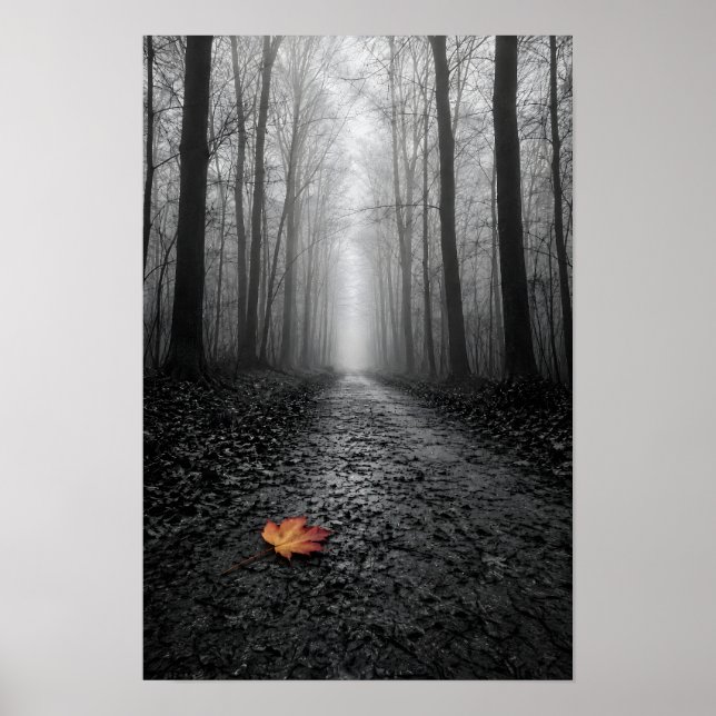 Dimmig skogsväg Selektiv färg Poster (Framsidan)