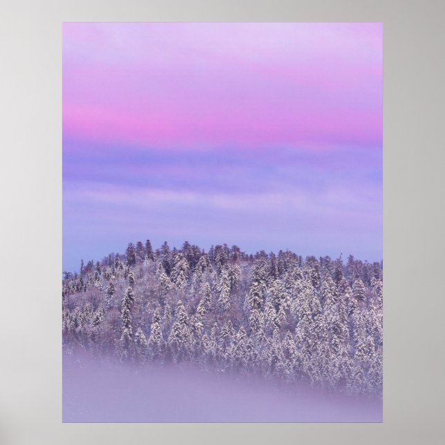 Dimmig snötäckt gran skog vid solnedgång poster (Framsidan)