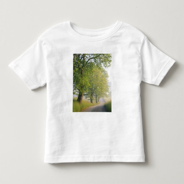 Dimmig väg, Cades Cove, Great Smoky Tee (Framsida)