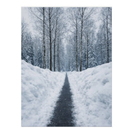 Dimmig vinter skogsväg Vinter landskapsaffisch Perfect Poster