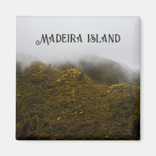 Dimmiga kullar, Madeira-rese Magnet