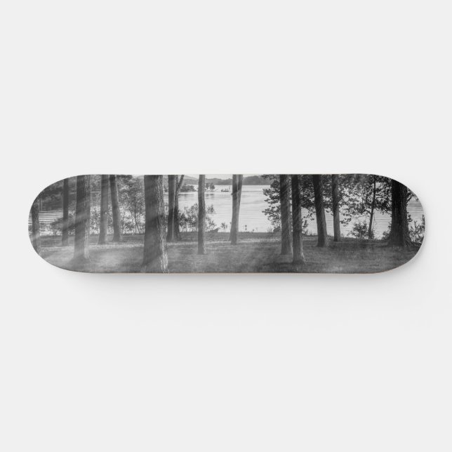 Dimmiga Träd Vid Table Rock Gråskala Mini Skateboard Bräda 18,5 Cm (Horz)